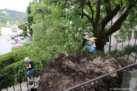 Neurje z vetrom podiralo drevesa in odkrivalo strehe (9)